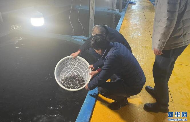 武汉：加强水产养殖雪灾后重建指导 提前应对新一轮寒潮